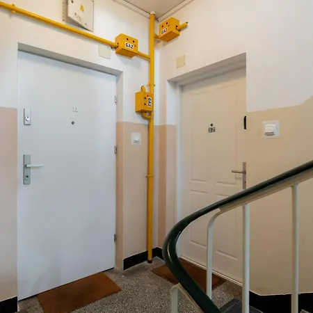 Chopin Lazienki Park * Warsaw