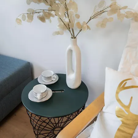 Chopin Lazienki Park *